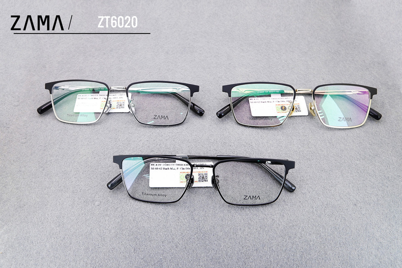ZAMA6020
