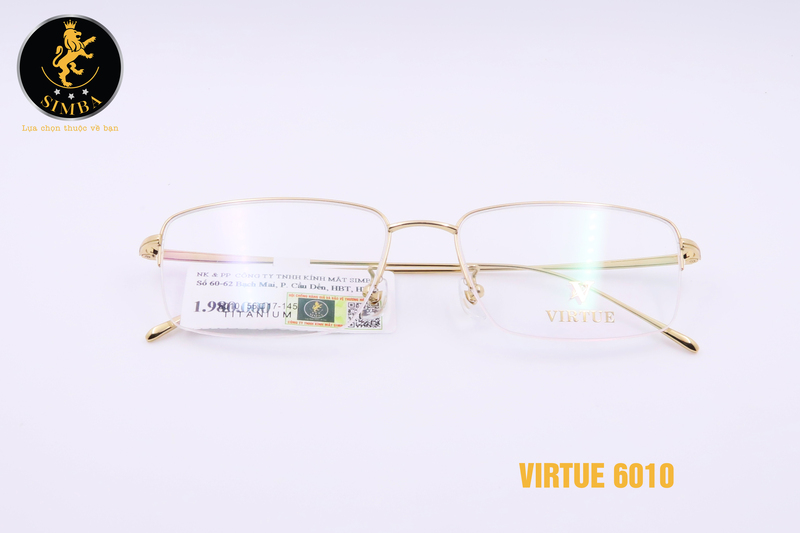 VIRTUE 6010