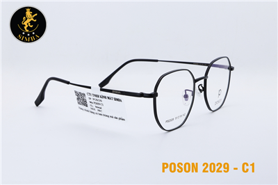 POSON P2029