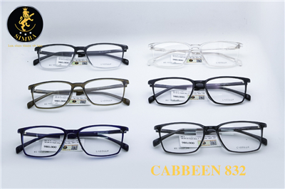 CABBEEN 832 