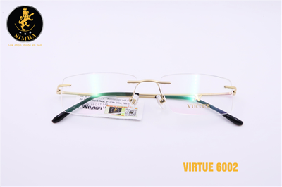 VIRTUE 6002